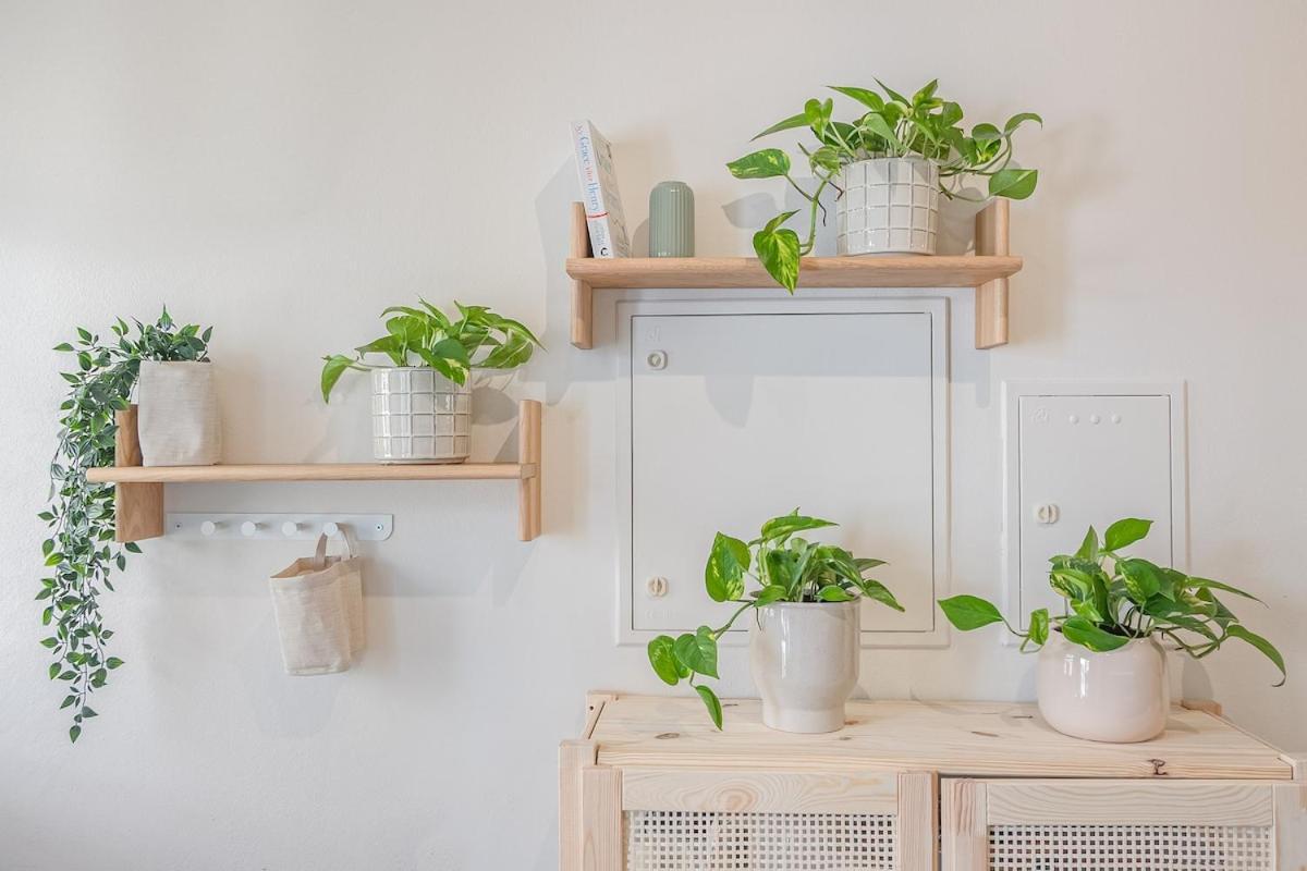 Apartamento Luna *